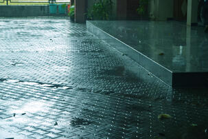 After the rain