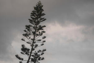 Mundane Beauty
